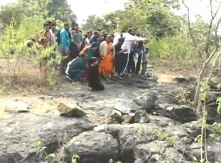 अजगरों की बस्ती में खुले घूमते हैं अजगर, 'एनाकोंडा' फ‍िल्म जैसा द‍िखता है नजारा