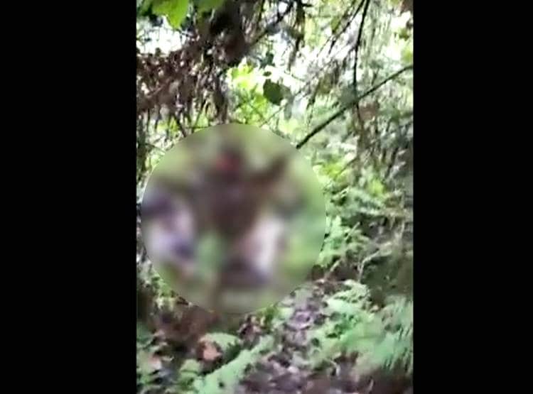 जंगल में लटका म‍िला मह‍िला का शव, आपत्तिजनक वीड‍ियो हुआ था वायरल