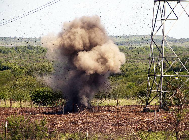 Hero Rats: इस देश में चूहे बचा रहे इंसानों की जान, दुनिया कर रही सलाम