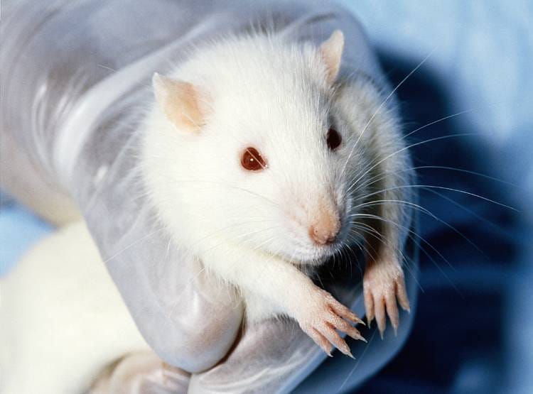 स्पेस स्टेशन से लौट रहा यान अंतरिक्ष में अटका, जानिए क्या है उसमें?