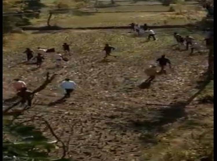 बाघ सामने आया तो शख्स ने किया मरने का नाटक...और ऐसे बची जान