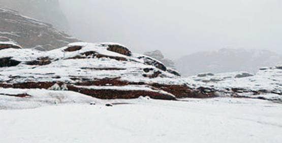 रेगिस्तान के लिए मशहूर सऊदी अरब में हुई बर्फबारी, हैरान हुए लोग