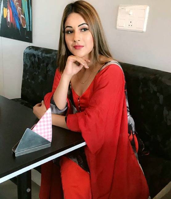 शहनाज गिल पर था शादी का दबाव? बताई पेरेंट्स से अलग रहने की वजह