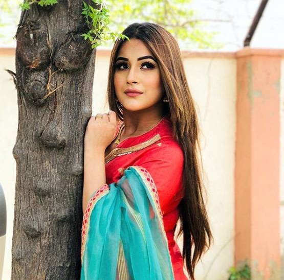 शहनाज गिल पर था शादी का दबाव? बताई पेरेंट्स से अलग रहने की वजह