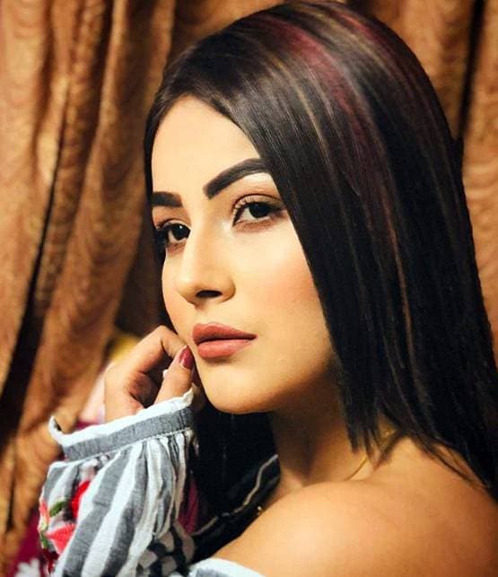 शहनाज गिल पर था शादी का दबाव? बताई पेरेंट्स से अलग रहने की वजह