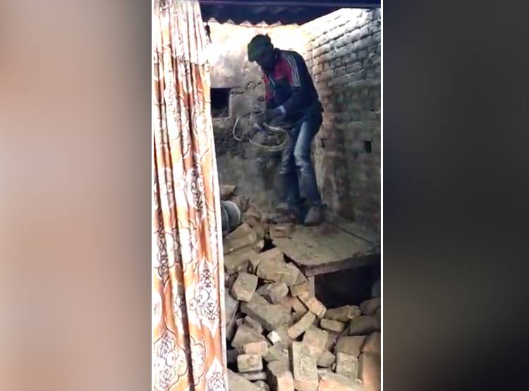 सांप को बाल्टी में धोया फिर कुर्सी पर बैठाया, 9 म‍िनट तक खेलता रहा शख्स