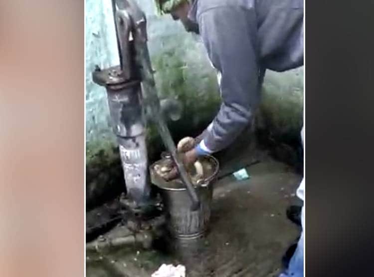 सांप को बाल्टी में धोया फिर कुर्सी पर बैठाया, 9 म‍िनट तक खेलता रहा शख्स