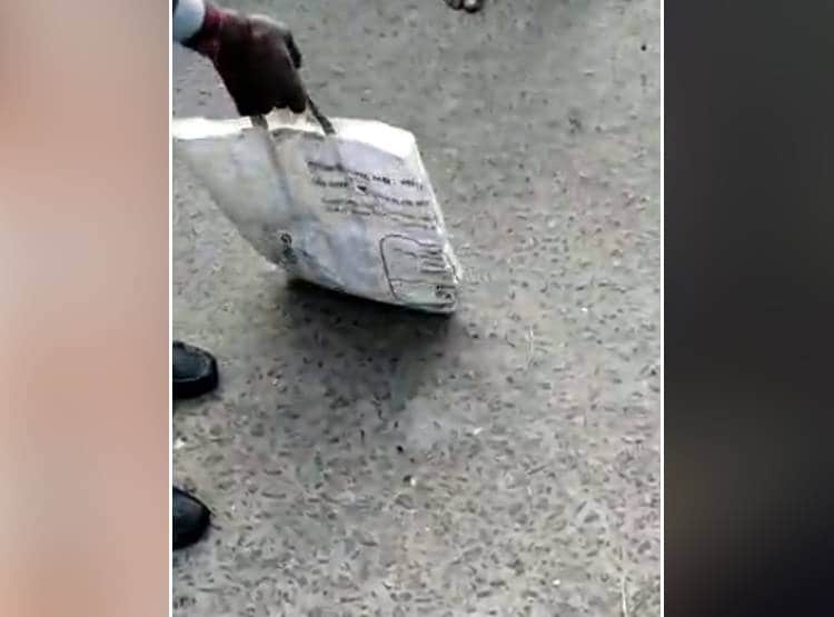 सांप को बाल्टी में धोया फिर कुर्सी पर बैठाया, 9 म‍िनट तक खेलता रहा शख्स