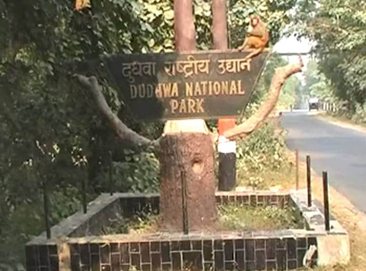 सांप को ही न‍िगल रहा था सांप, टूर‍िस्ट के कैमरे में दि‍खा दुर्लभ नजारा