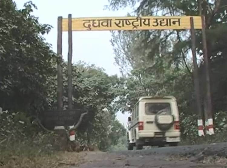 सांप को ही न‍िगल रहा था सांप, टूर‍िस्ट के कैमरे में दि‍खा दुर्लभ नजारा