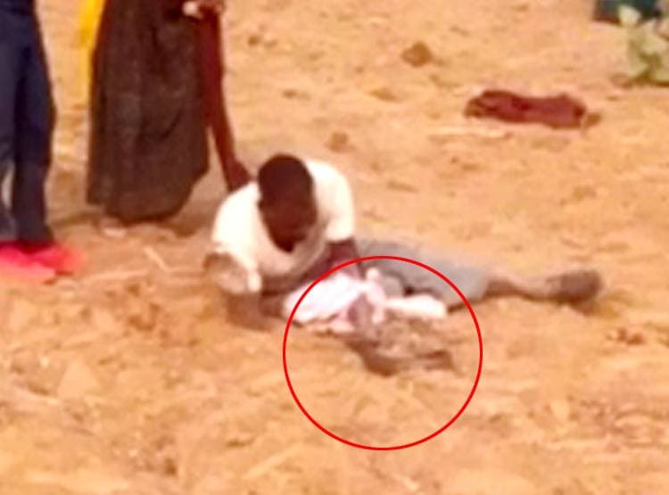 जहरीले सांप के साथ 30 म‍िनट तक खेला शराबी, डसा तो...