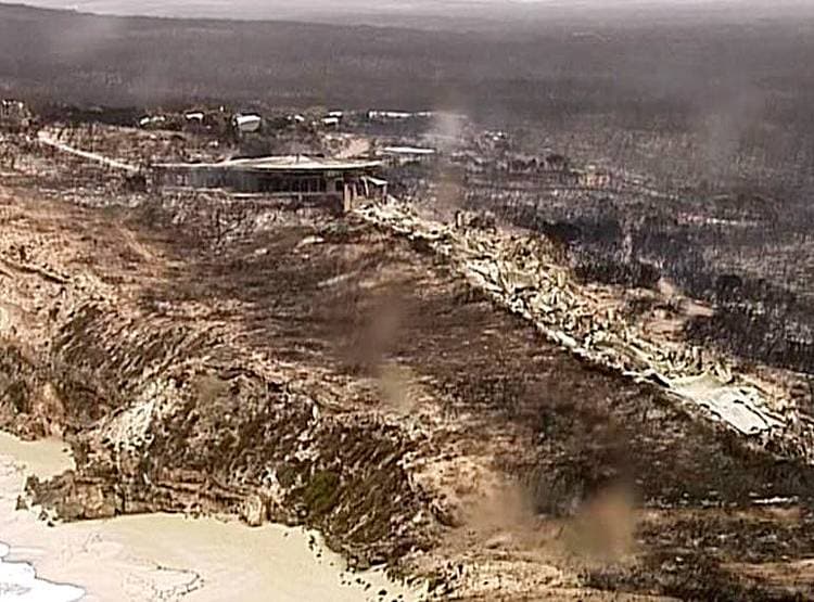 जल गया कंगारू आइलैंड, राख हो गए हरे-भरे जंगल, देखें पहले और अब की तस्वीरें