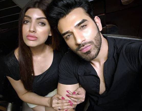 Bigg Boss 13: माहिरा संग प्यार का नाटक कर रहे हैं पारस? हुआ खुलासा