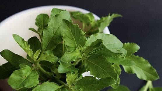 चंद्र ग्रहण के दौरान गलती से भी ना करें ये काम, माना जाता है अशुभ