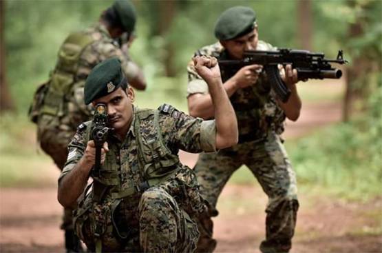 ये हैं CRPF के नए DG एपी माहेश्वरी, दंगों पर की PhD, लिखी हैं 9 किताबें