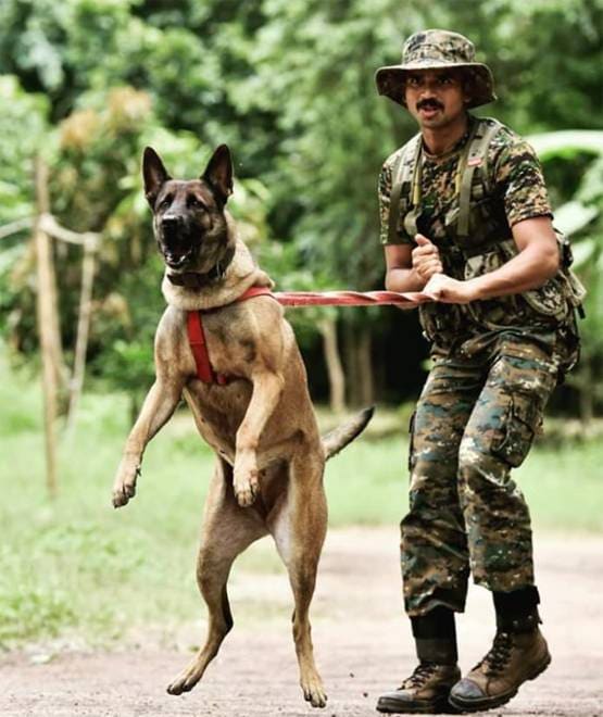 ये हैं CRPF के नए DG एपी माहेश्वरी, दंगों पर की PhD, लिखी हैं 9 किताबें