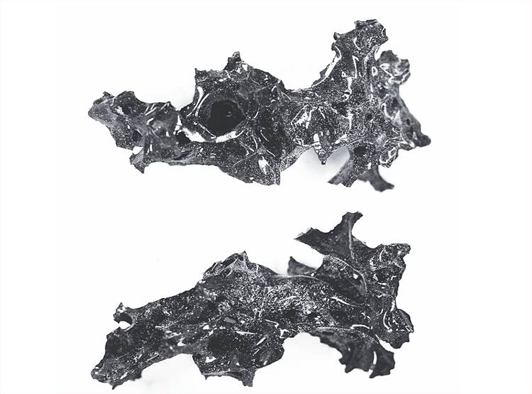 नई खोज! ज्वालामुखी के लावे से पिघल गया था इंसान का दिमाग, बन गया शीशा