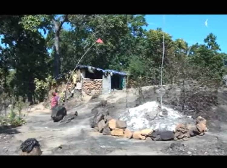 भजन की धुन पर रोज दौड़े चले आते हैं भालू, जंगल में है कुट‍िया