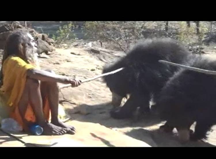 भजन की धुन पर रोज दौड़े चले आते हैं भालू, जंगल में है कुट‍िया