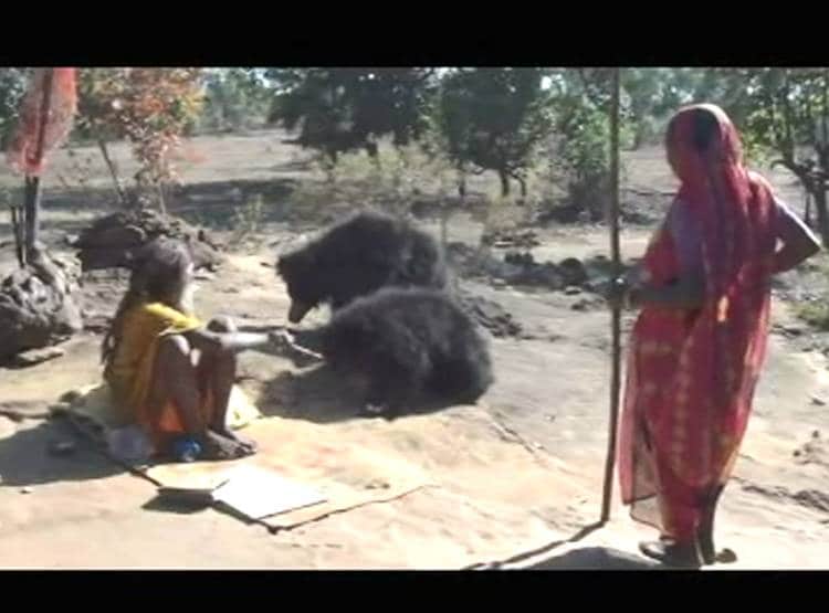 भजन की धुन पर रोज दौड़े चले आते हैं भालू, जंगल में है कुट‍िया