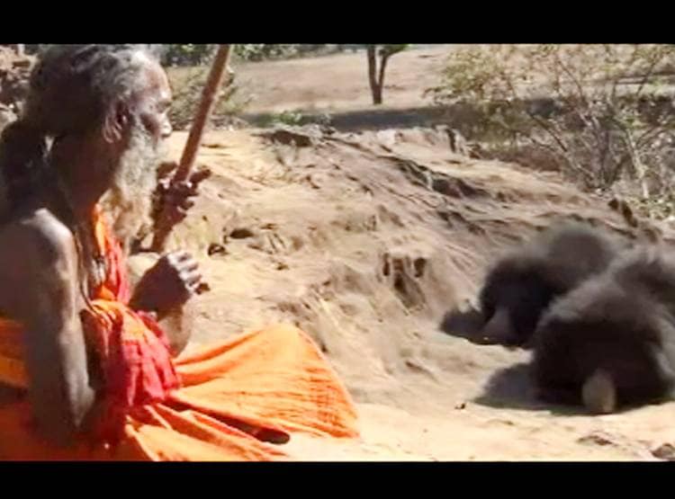 भजन की धुन पर रोज दौड़े चले आते हैं भालू, जंगल में है कुट‍िया