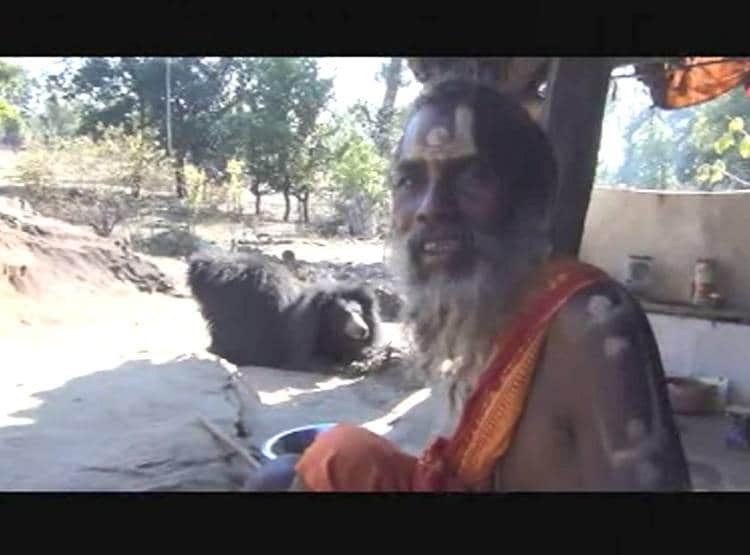 भजन की धुन पर रोज दौड़े चले आते हैं भालू, जंगल में है कुट‍िया