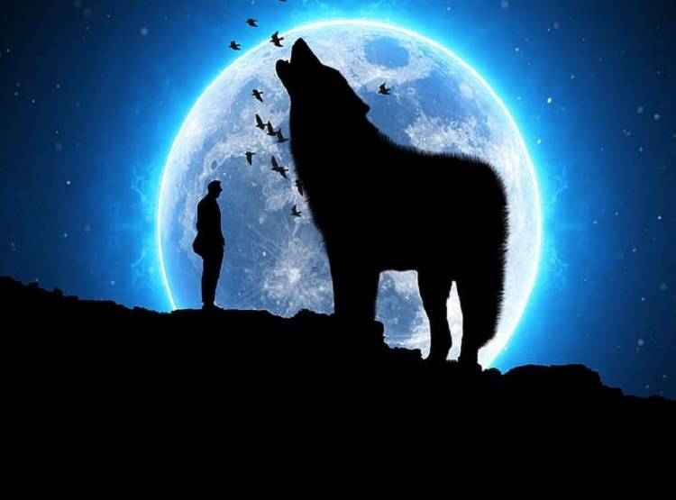 कल रात दिखा दशक का पहला सुपरमून, जानें कब देख पाएंगे आप?