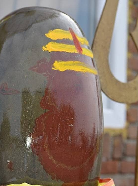 महाशिवरात्रि पर भूलकर भी न करें ये 10 काम, नाराज हो जाएंगे महादेव