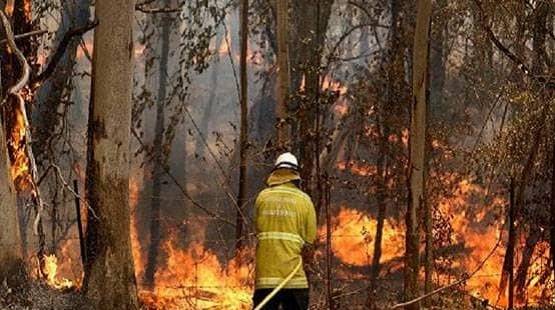 नास्त्रेदमस ने 465 साल पहले कर दी थी कोरोना की भविष्यवाणी?