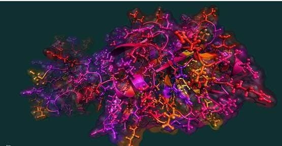 कोरोना वायरस का डर, चीन से लौटे अफसर को किम जोंग ने मरवा दी गोली