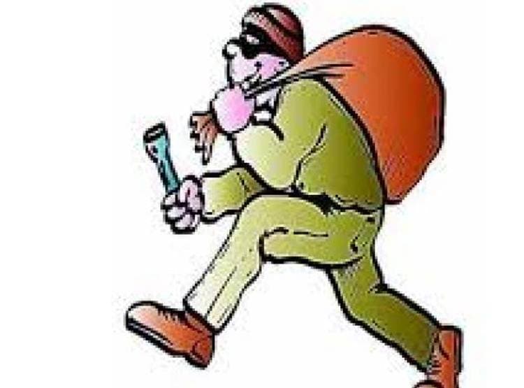 चोर से भिड़ी 12 साल की बच्ची, मारा ऐसा पंच कि उल्टे पांव भागा चोर