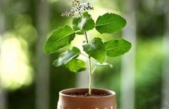 इस शिवरात्रि इन 5 राशि वालों पर बरसेगी महादेव की कृपा