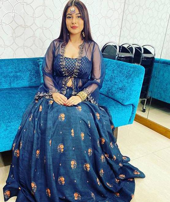 शहनाज को हो गया घमंड? गौतम गुलाटी ने लगाई क्लास