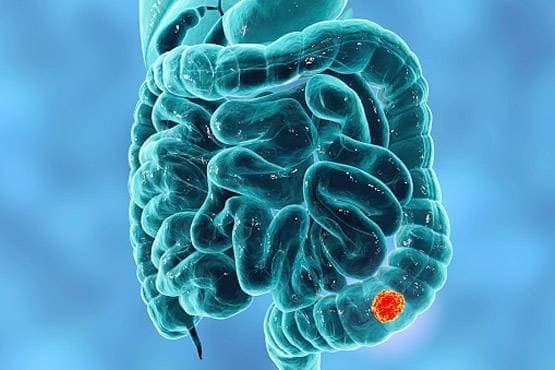 शरीर के इस हिस्से में होता है दर्द? हो सकता है कैंसर