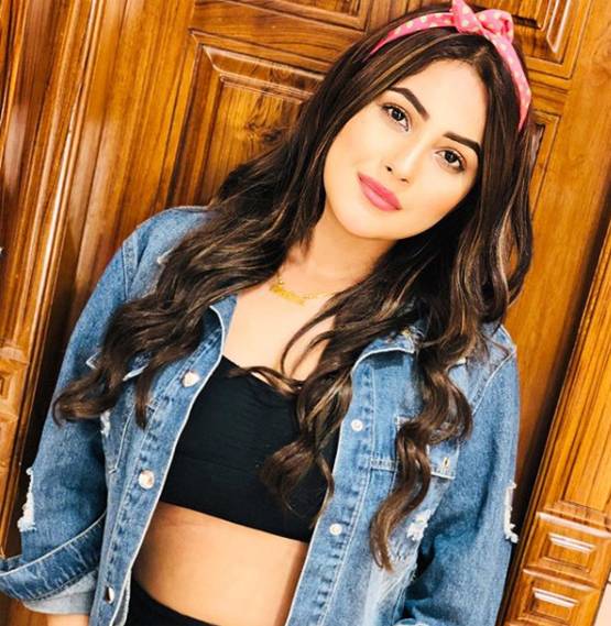 BB: शहनाज के एविक्शन से सनसनी, एलिमिनेशन की खबर कितनी सही?