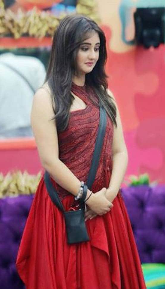 बी-ग्रेड फिल्मों से लेकर बिग बॉस तक, ऐसा रहा है रश्मि का करियर