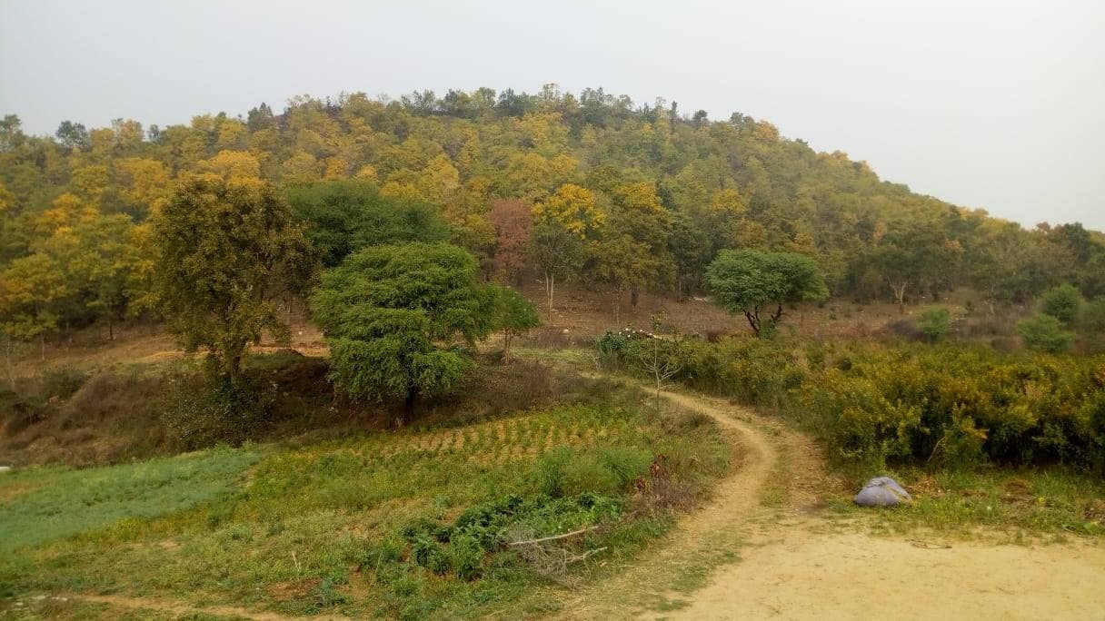 सोनभद्र से 3000 टन सोना निकालने से बेघर होंगे इतने परिवार, क्या करेगी सरकार