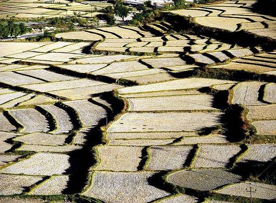 भूटान ने भारतीयों को दिया झटका, बंद कर दी देश में फ्री एंट्री
