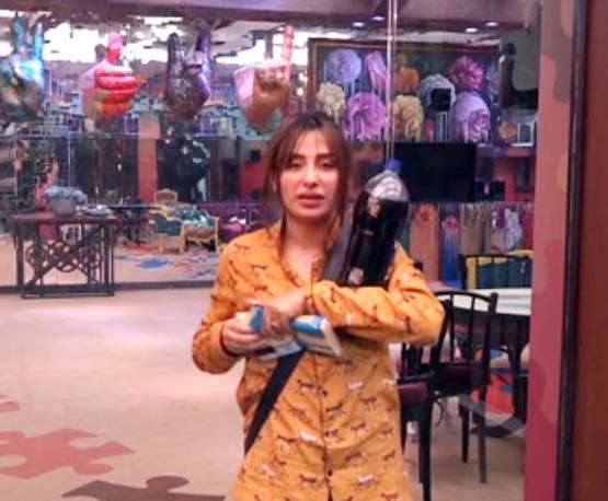 पारस संग बेड शेयर करती दिखीं माहिरा, KISS करने पर किया था तमाशा