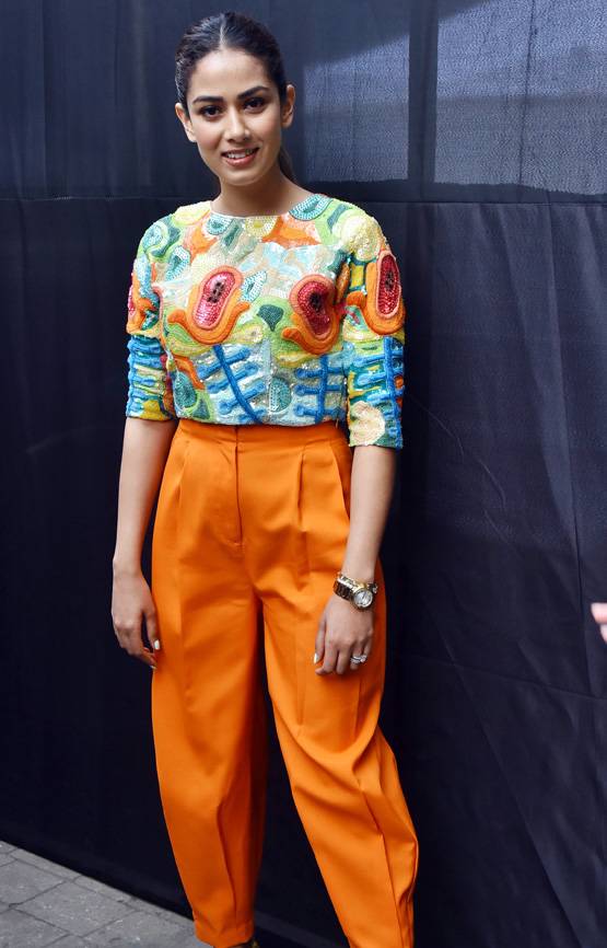 बॉलीवुड डेब्यू करने जा रही हैं शाहिद की पत्नी मीरा राजपूत? दिया ये जवाब