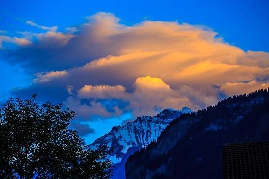 क्यों खास है 29 फरवरी? नहीं मनाया लीप ईयर तो संकट से गुजरेगी धरती