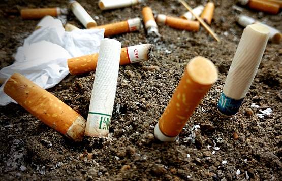 इन चार चीजों से हो सकता है कैंसर, तुरंत बना लें दूरी