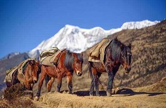 भूटान ने भारतीयों को दिया झटका, बंद कर दी देश में फ्री एंट्री