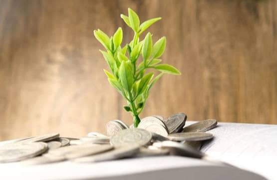 एजुकेशन से लेकर हेल्थ-ट्रांसपोर्ट तक, जानें- किसको मिले कितने करोड़