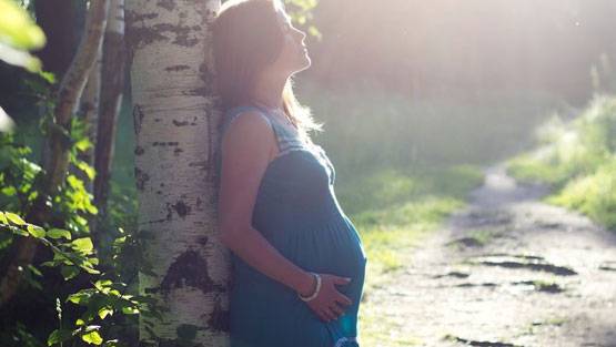 क्या होती है सरोगेसी जिससे शिल्पा शेट्टी बनीं मां