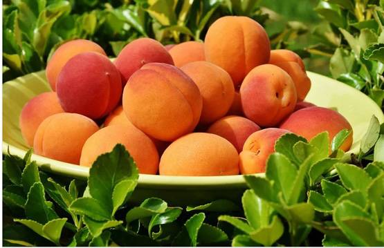 सेक्स ड्राइव को तेजी से बढ़ा सकती हैं खाने की ये 16 चीजें