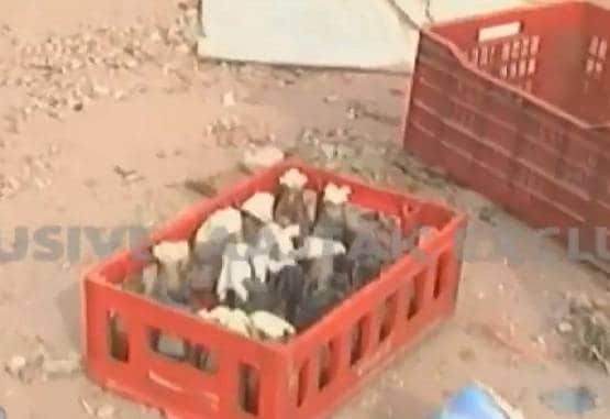 AAP पार्षद ताहिर हुसैन के घर की छत पर पत्थर-गुलेल-पेट्रोल बम, देखें Photos