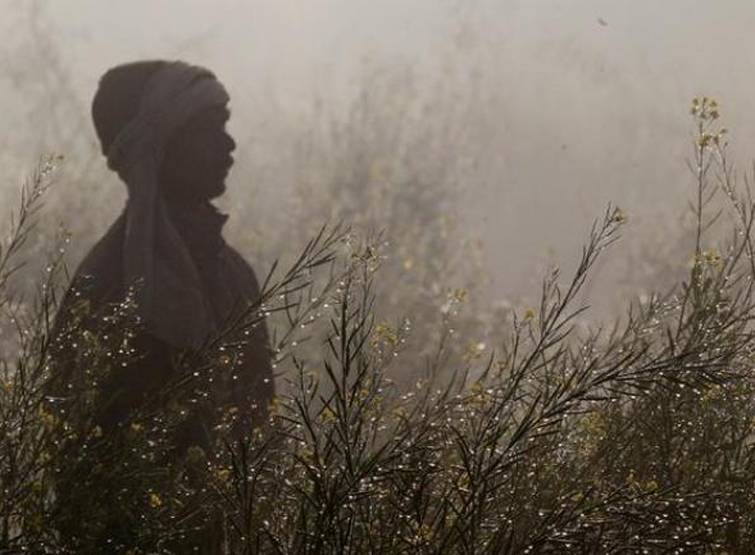 झारखंड के इस किसान ने उगाई 2 करोड़ की फसल, फिर भी हो गया बर्बाद