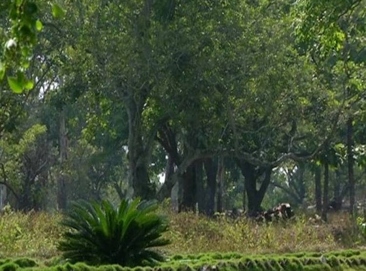 सोनभद्र में हुई खुदाई तो उजड़ जाएगा आदिवासियों का ये बेशकीमती 'खजाना'