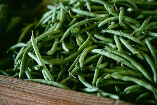 ना हो प्रोटीन की कमी, शाकाहारियों को जरूर खानी चाहिए ये 10 चीजें